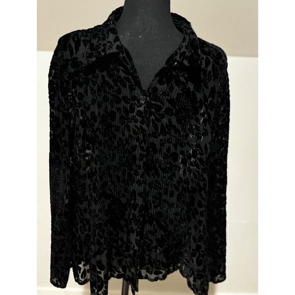 Christopher Banks Tops - Women’s S Velvet Burnout Organza Lace Sheer Top Fairy Grunge boho whimsigoth